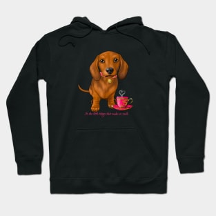 Dachshund Its the little things that make us smile Hoodie